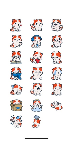 Red Cute Raccoon(圖1)-速報App