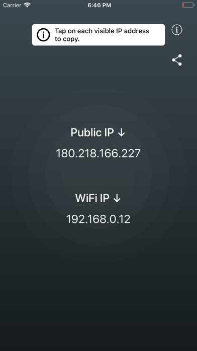 Find IP • Public & WiFi screenshot 2