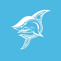 sharkminer pour PC