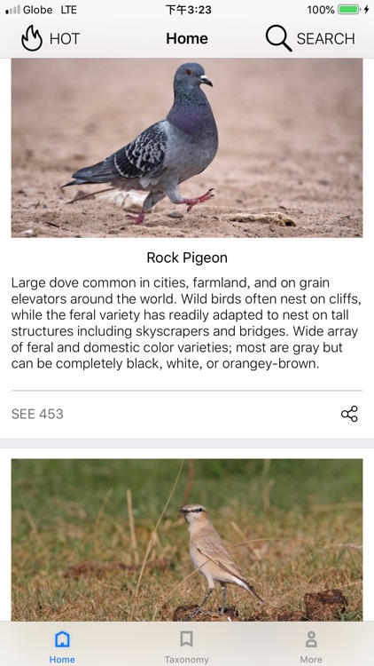 Bird_Encyclopedia