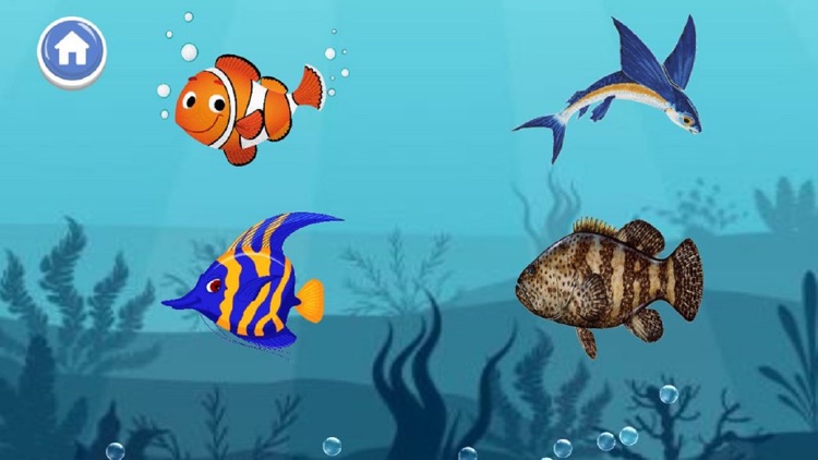 A to Z Aquatic Animals screenshot-3