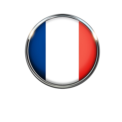 French Flag Stickers