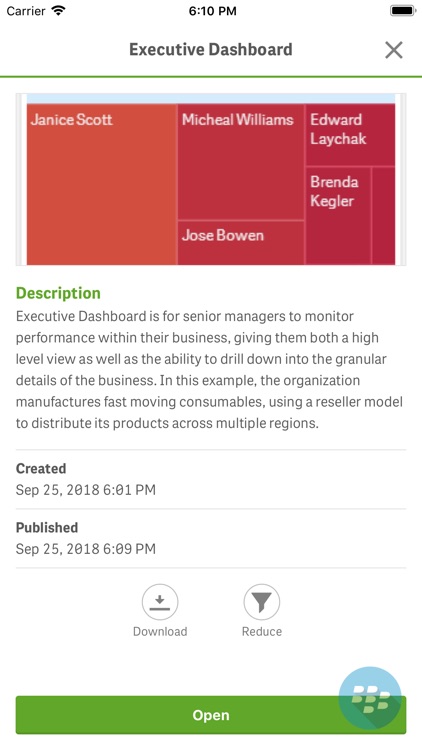 Qlik Sense for BlackBerry® screenshot-4
