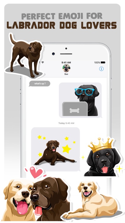 Labrador Retriever Dog Emojis