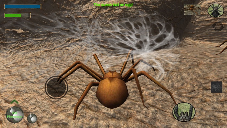 Spider Colony Simulator