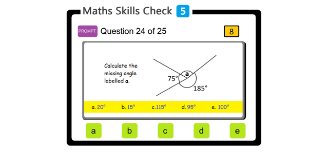 PAM Maths Skills Check 5(圖6)-速報App