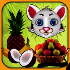 Activities of Sweet Fruits Collector