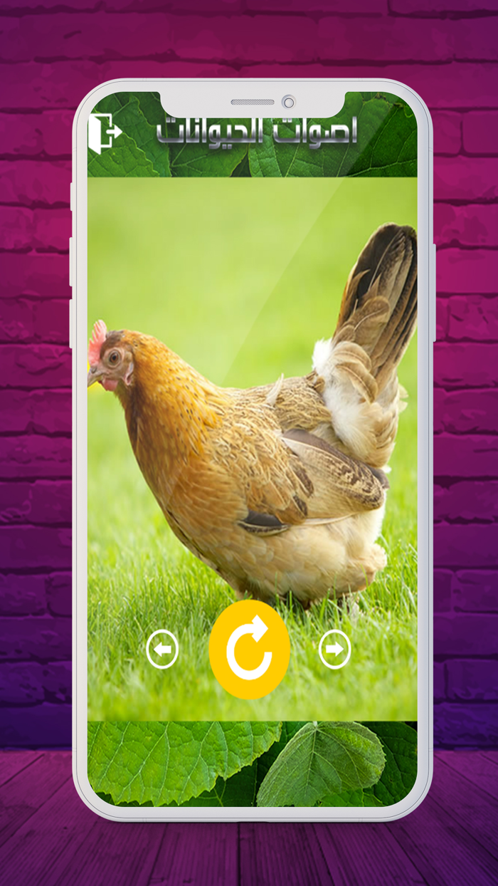 2020 اصوات الحيوانات