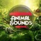 Animal Sounds is a very good entertainment Application which makes entertainment and helps to know you and your kids more about Animal and Birds names and sounds