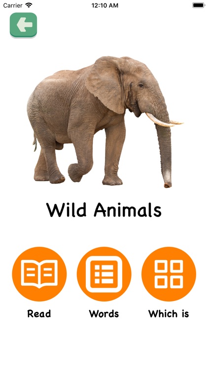 Toddlers Flashcards Lite screenshot-6