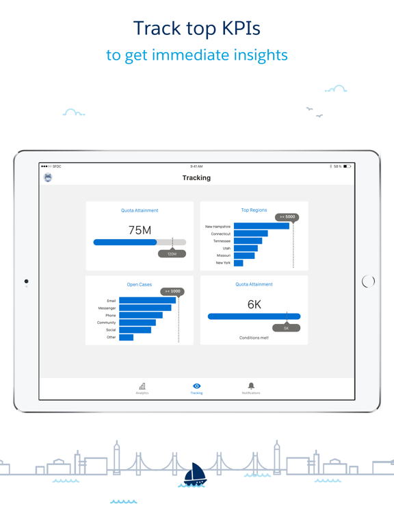 Salesforce Wave Analytics screenshot