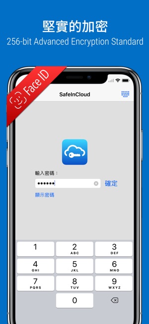 SafeInCloud Pro