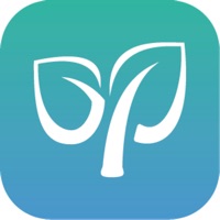 Greenplay pour PC