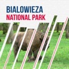Bialowieza National Park Guide