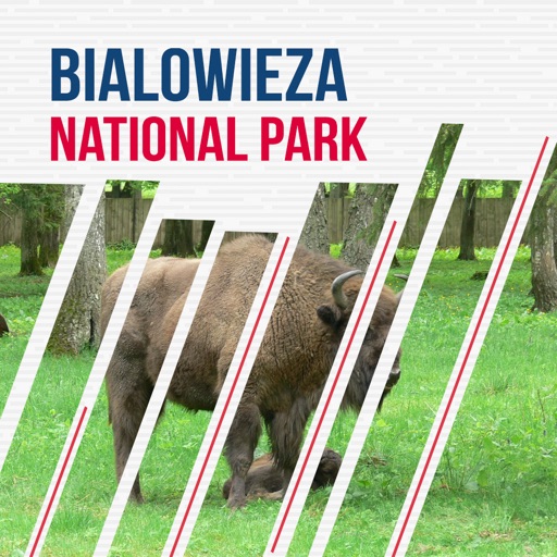 Bialowieza National Park Guide