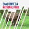 BIALOWIEZA NATIONAL PARK with attractions, museums, restaurants, bars, hotels, theaters and shops with pictures, rich travel info, prices and opening hours