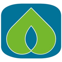 Piccini