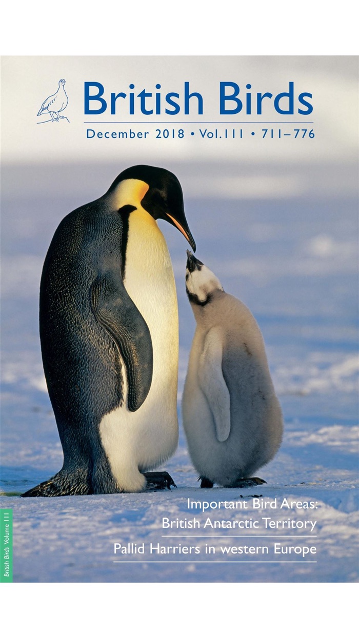 British Birds Magazine