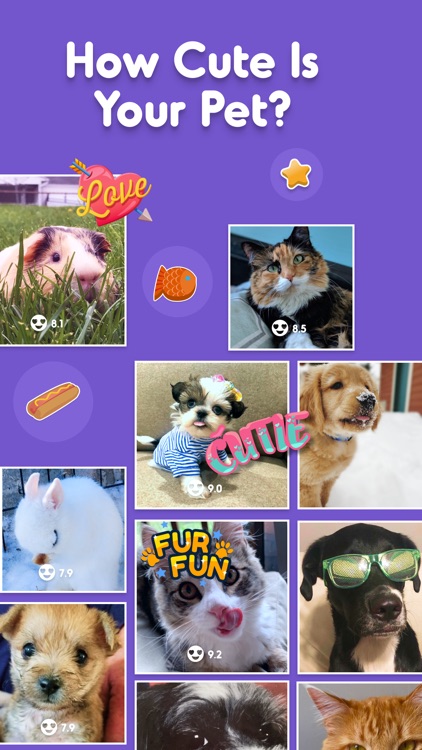Pet Parade: Cutest Pet Contest screenshot-0