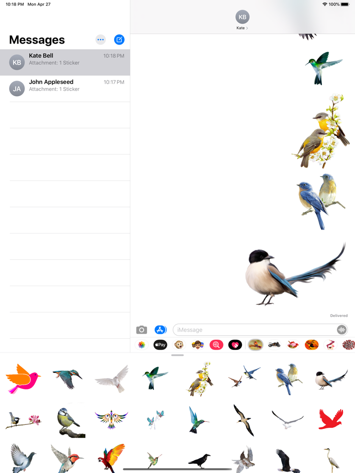 Amazing Birds Gallery