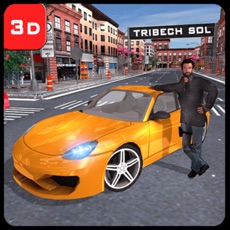 Activities of Driving School Sim Game