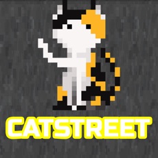 Activities of CATSTREET