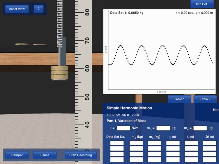 PP+ Simple Harmonic Motion