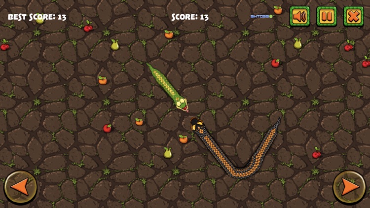 Snake-Attack screenshot-4