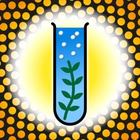 Photosynthèse pour PC