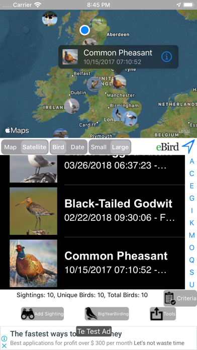 Big Year Birding GB screenshot 2