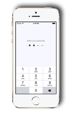 Save Notes - secure your data - náhled