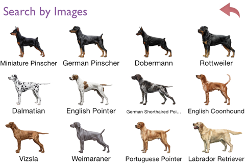 Dogs - Identification Guide screenshot 2