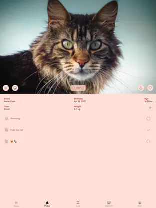 Captura 2 Cat App - Meowly Cats iphone