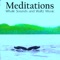 Icon Meditations Whales Waltz Music