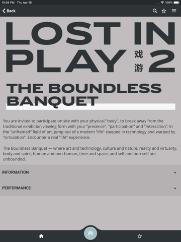 LOST IN PLAY screenshot 2