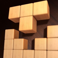 Wood Block - Challenge Brain