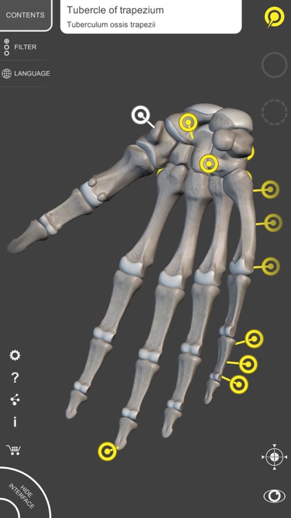 Skeleton 3D Anatomy screenshot-3