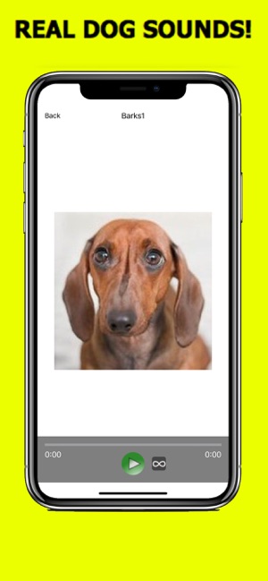 Dachshund Sounds & Dog Sounds!(圖3)-速報App