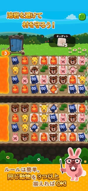 新着ポコポコ 動物 ランキング 最高の動物画像