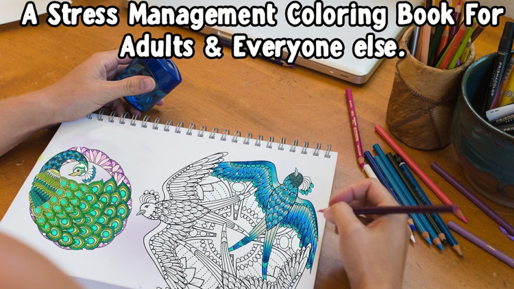 Birds Mandala Coloring - Relax