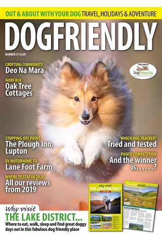 Dog Friendly Magazine screenshot 2