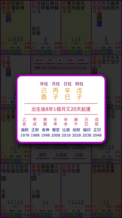 紫微斗數排盤 screenshot-5