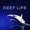 Reef Life is the most comprehensive marine identification app available in the iOS app store