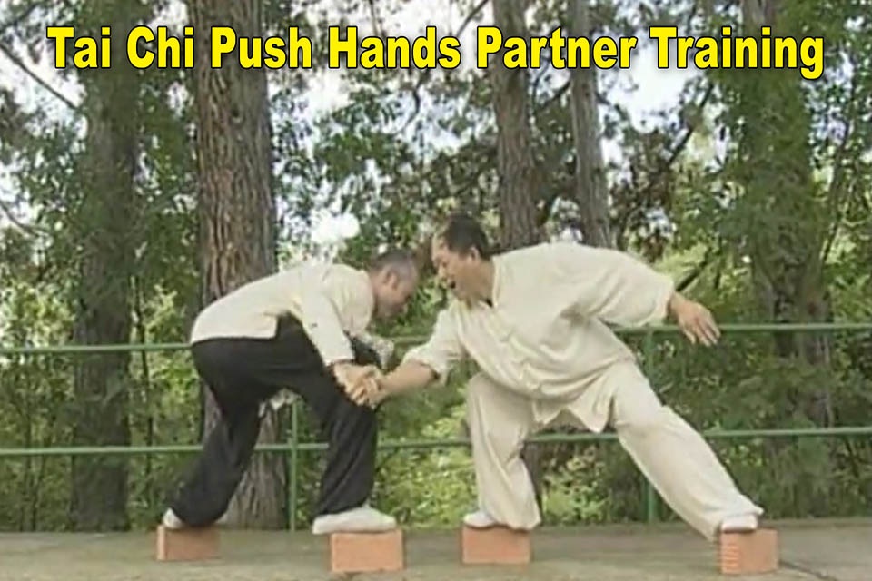 Tai Chi Pushing Hands (YMAA) screenshot 3