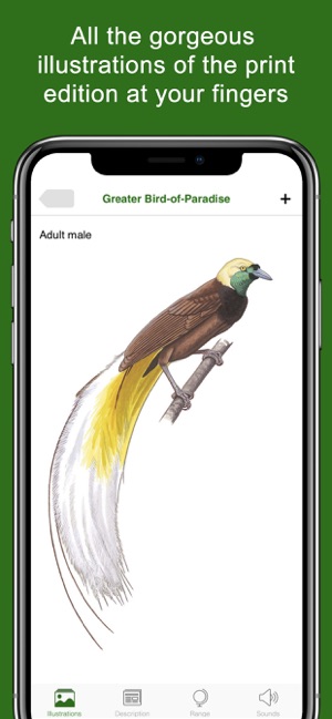 Birds of New Guinea(圖3)-速報App