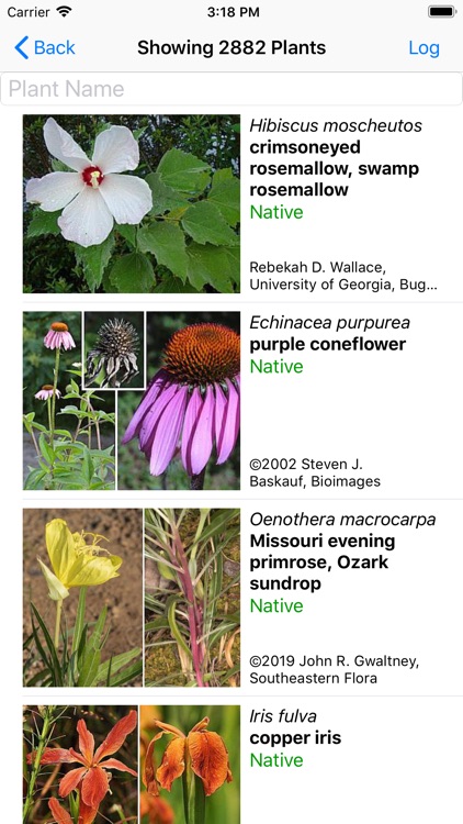 Missouri Wildflowers