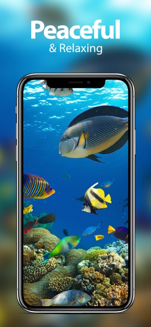 Underwater Wallpapers & Themes(圖2)-速報App