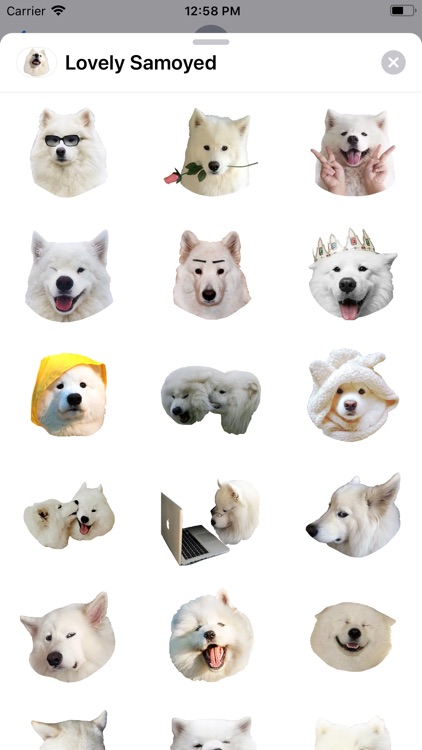 Lovely Samoyed Sticker Pack