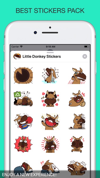 Little Donkey Stickers screenshot-3