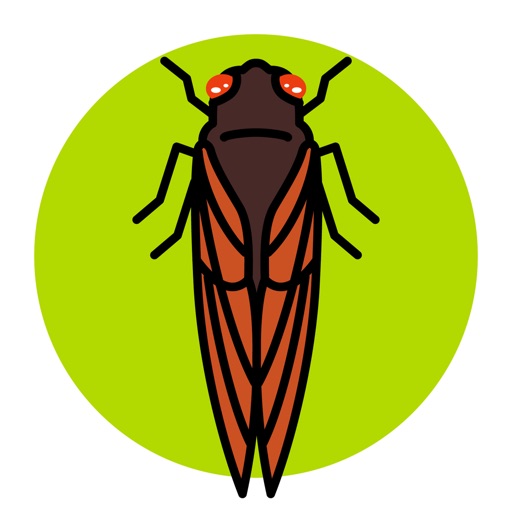 Cicada Safari Icon
